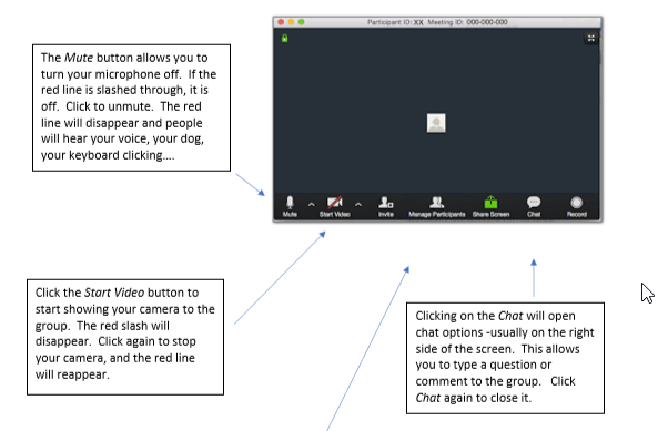 Change Participant Controls In A Zoom Meeting